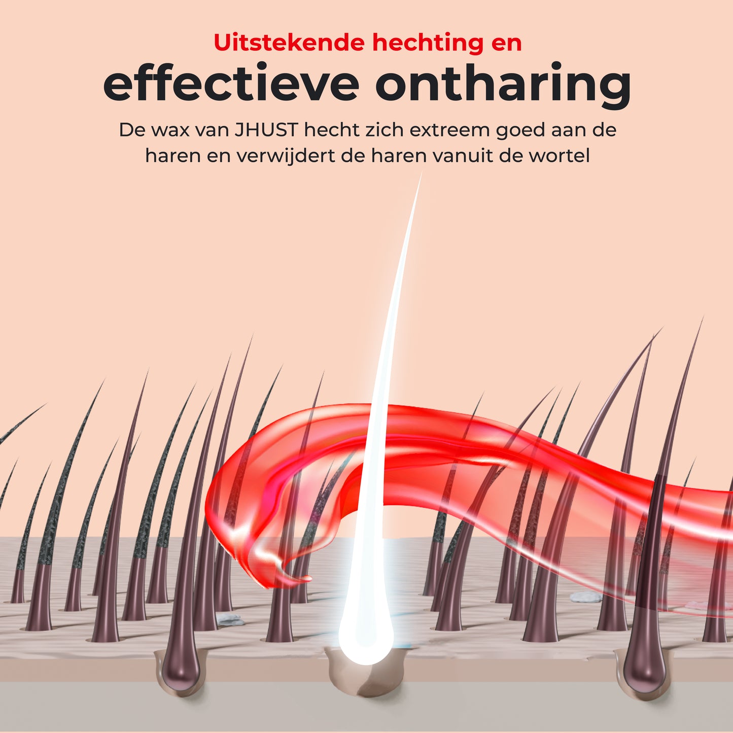 JHust Hard Wax Beans