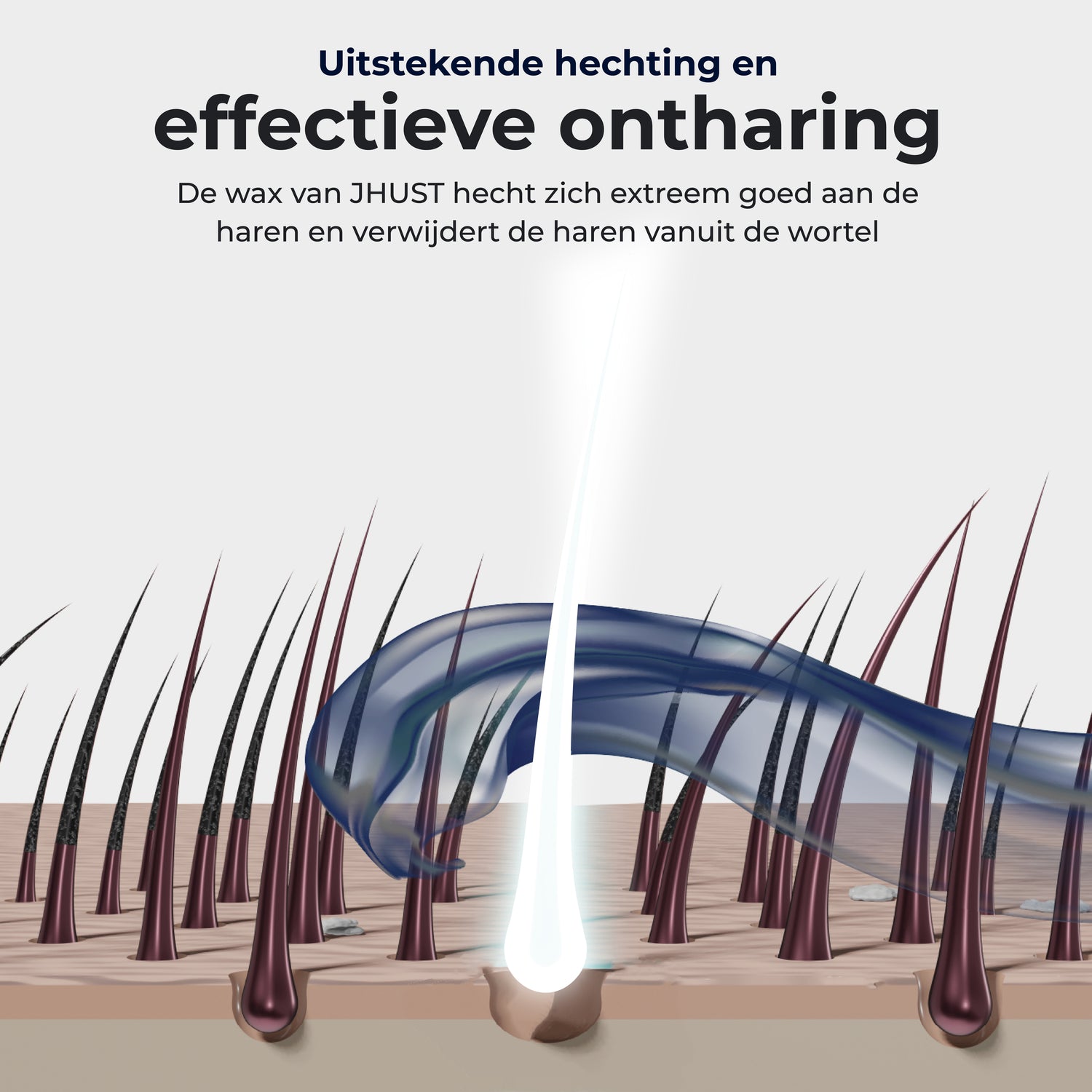 JHust Hars Korrels Azulene 1KG