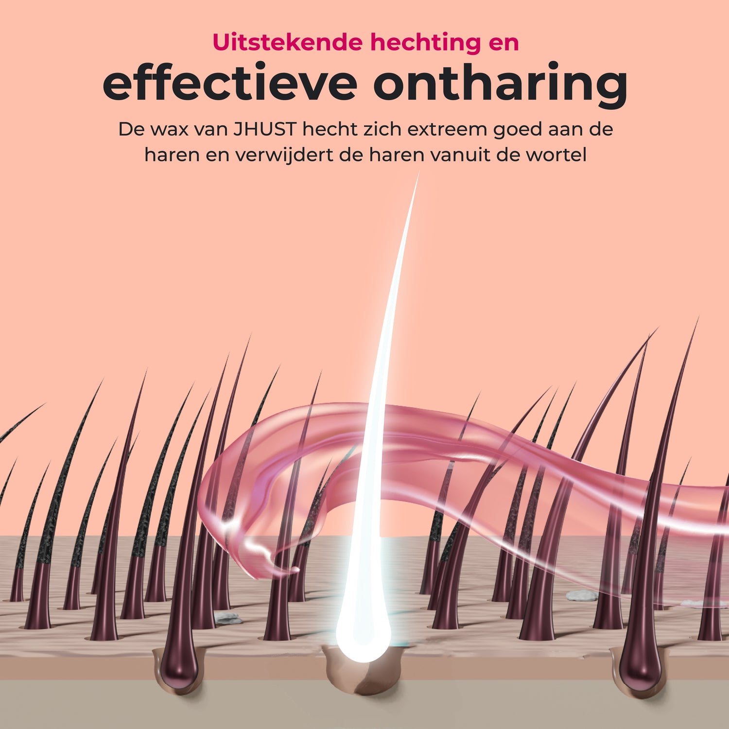 JHust Wax Parels Rose 1KG