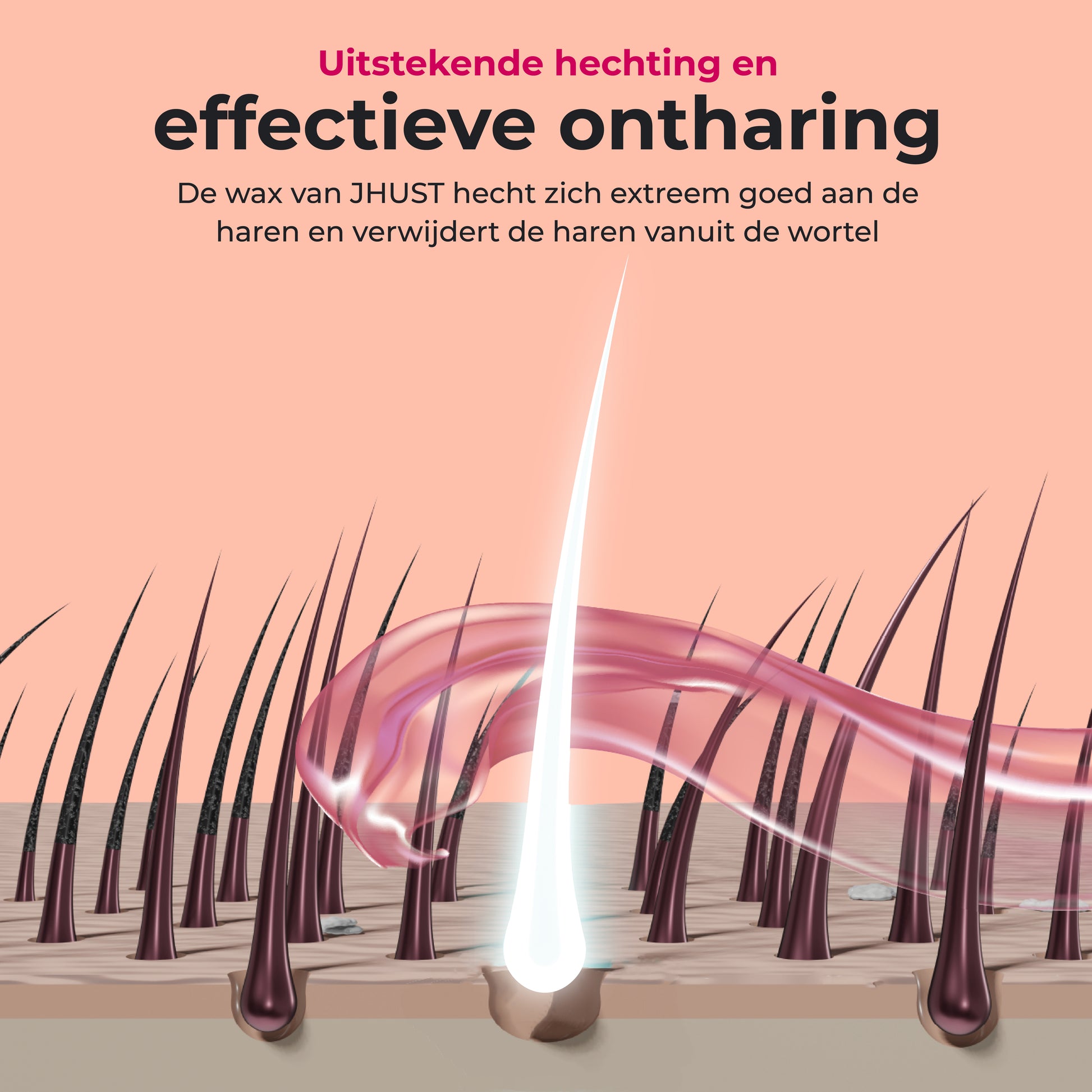 JHust Wax Parels Rose 1KG